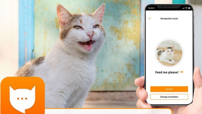 MeowTalk: Alexa developer’s app to translate cat’s miaow