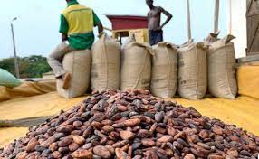 COCOBOD CEO confident cocoa production will hit 1.5m metric tonnes soon