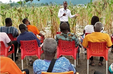 New maize variety introduced to farmers in Eastern Region
